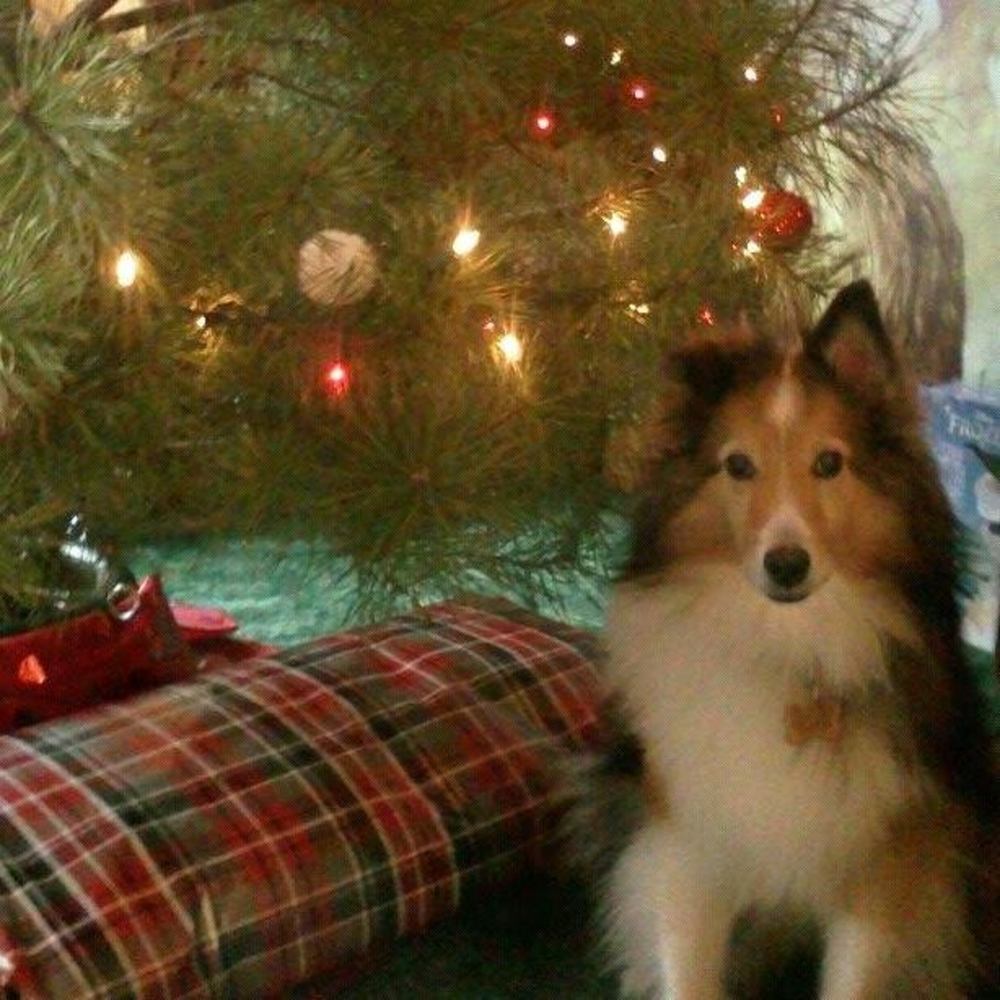 Meet your Posher, Jen